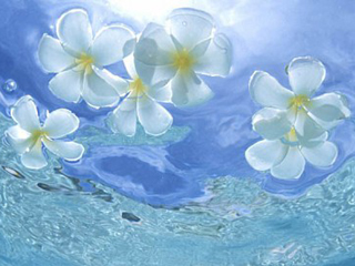 Paradise could be <b>beneath</b>